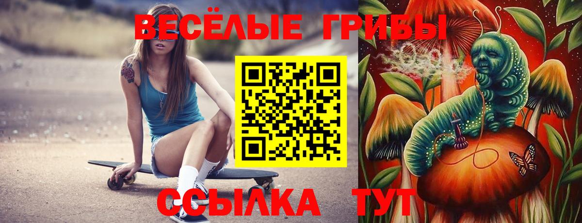 Галлюциногенные грибы ЛСД Светлоград