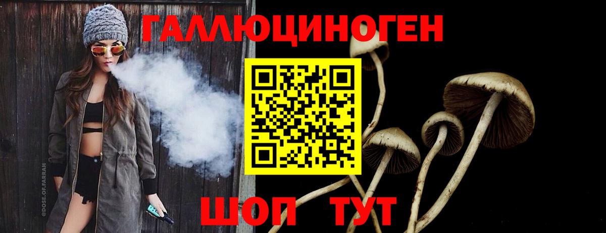 Светлоград  Галлюциногенные грибы Psilocybine cubensis  Вход с VPN  Псилоцибиновые грибы мицелий 